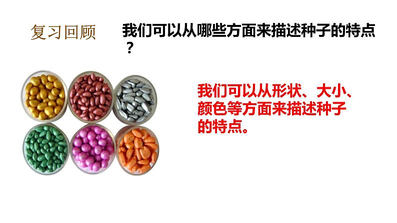 教科版（2017秋）五年级下册科学1.1种子发芽实验 PPT课件+素材05