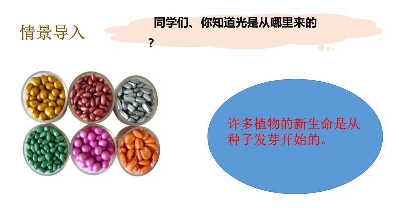 教科版（2017秋）五年级下册科学1.1种子发芽实验 PPT课件+素材08