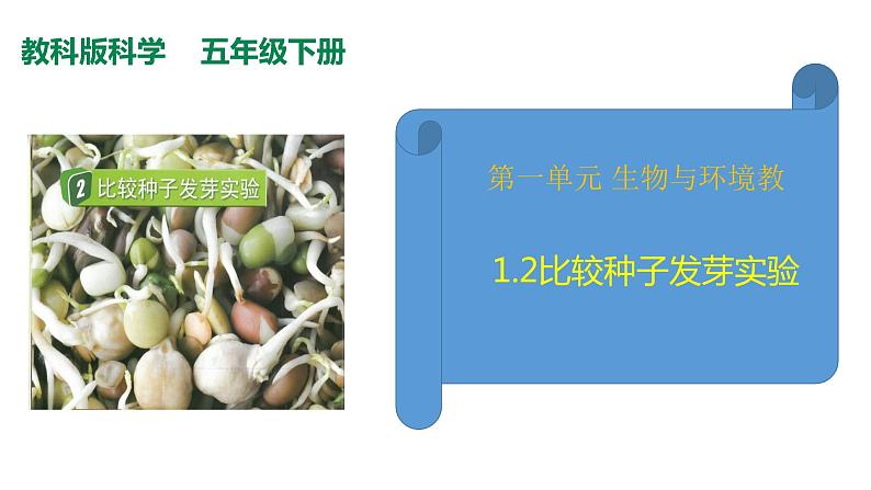 教科版（2017秋）五年级下册科学1.2比较种子发芽实验 PPT课件+素材02