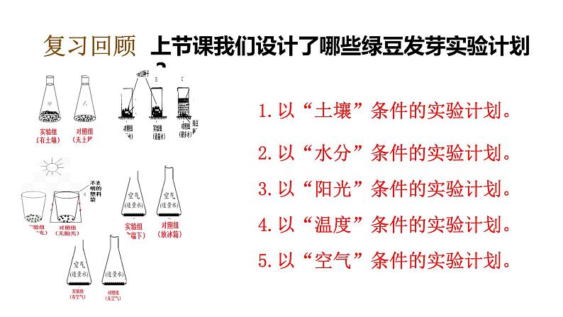 教科版（2017秋）五年级下册科学1.2比较种子发芽实验 PPT课件+素材05