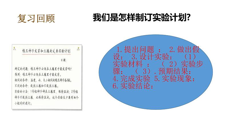 教科版（2017秋）五年级下册科学1.2比较种子发芽实验 PPT课件+素材06