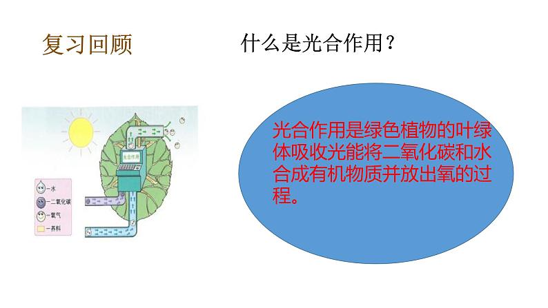 教科版（2017秋）五年级下册科学1.4蚯蚓的选择 PPT课件+素材06