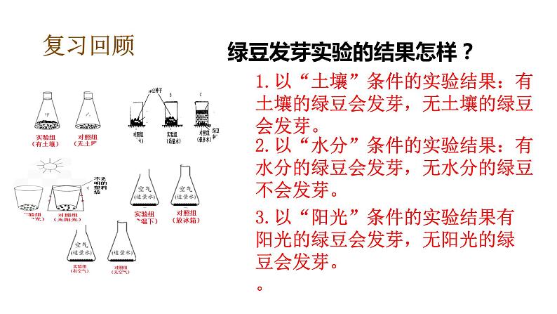 教科版（2017秋）五年级下册科学1.3绿豆苗的生长 PPT课件+素材05