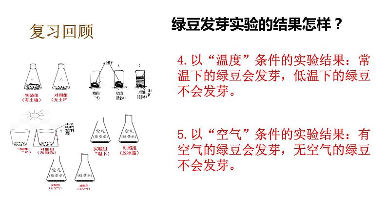 教科版（2017秋）五年级下册科学1.3绿豆苗的生长 PPT课件+素材06