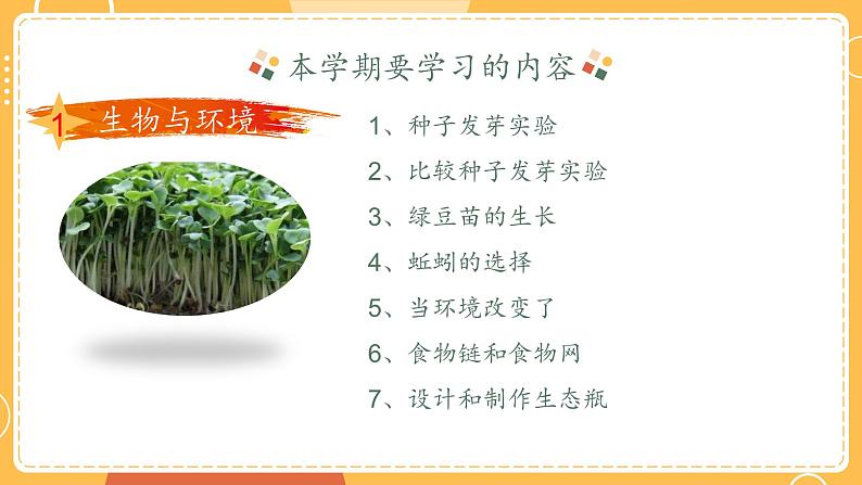 新教科版科学五年级下册开学第一课 PPT课件07