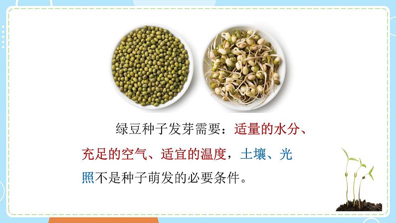 新教科版科学五下 第一单元 生物与环境 复习PPT课件06