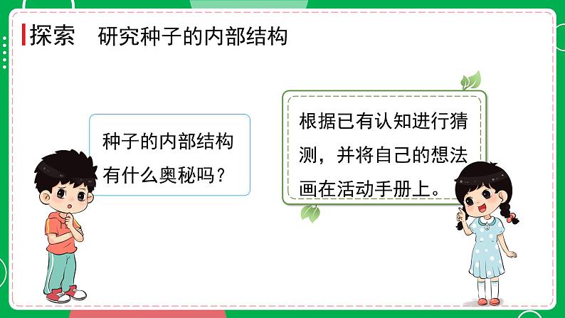 新教科版四下科学 1.1 种子里孕育着新生命 课件PPT+视频素材05