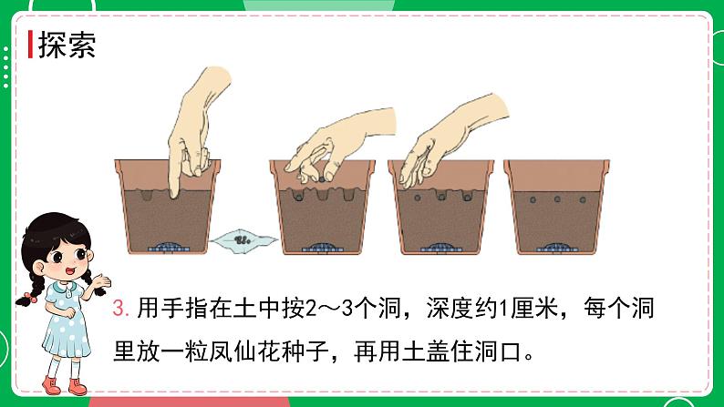 新教科版四下科学 1.2 种植凤仙花 课件PPT+视频素材08