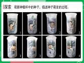 新教科版四下科学 1.3 种子长出了根 课件PPT+视频素材