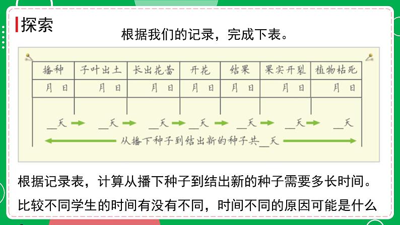 新教科版四下科学 1.8 凤仙花的一生 课件PPT+视频素材06