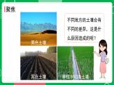 新教科版四下科學(xué) 3.7 比較不同的土壤 課件PPT+視頻素材