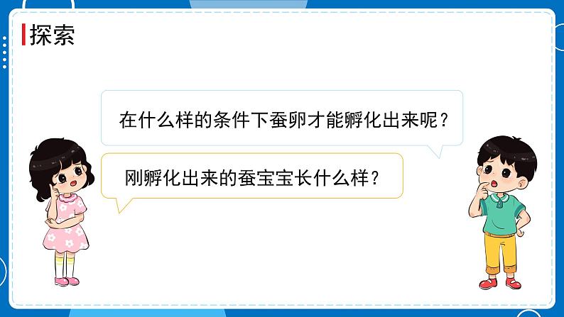 第1课时 迎接蚕宝宝的到来第5页