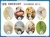 新教科版科学三下 2.6 蚕的一生 课件PPT+视频素材