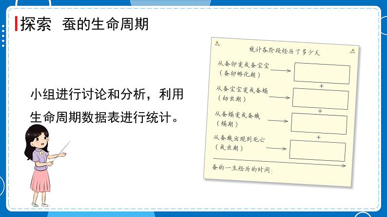 新教科版科学三下 2.6 蚕的一生 课件PPT+视频素材06