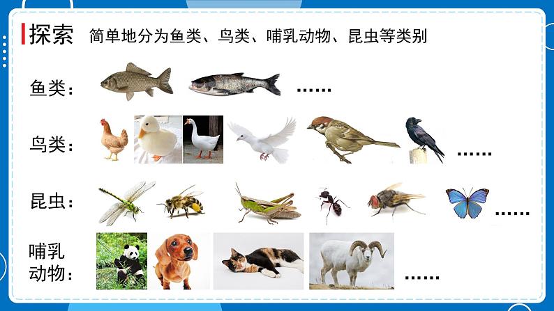 新教科版科学三下 2.7 动物的繁殖 课件PPT+视频素材07