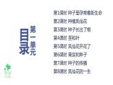 新教科版科学四年级下册 第一单元复习课件