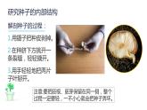 新教科版科學(xué)四年級(jí)下冊(cè) 第一單元復(fù)習(xí)課件