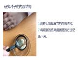 新教科版科學(xué)四年級(jí)下冊(cè) 第一單元復(fù)習(xí)課件