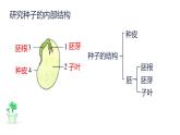 新教科版科学四年级下册 第一单元复习课件