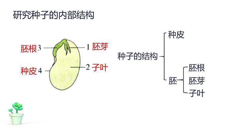 新教科版科学四年级下册 第一单元复习课件05