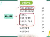 新教科版科学三下 第二单元《动物的一生》单元复习课件PPT