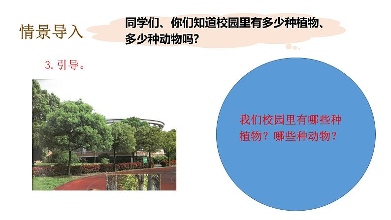 教科版(2017秋）六年级科学下册2.1校园生物大搜索（课件36张ppt+素材)第7页