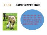 教科版(2017秋）六年級科學(xué)下冊2.5相貌各異的我們（課件34張ppt+素材)
