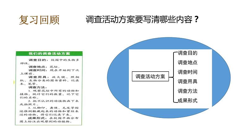 教科版(2017秋）六年级科学下册2.2制作校园生物分布图（课件44张ppt+素材)06