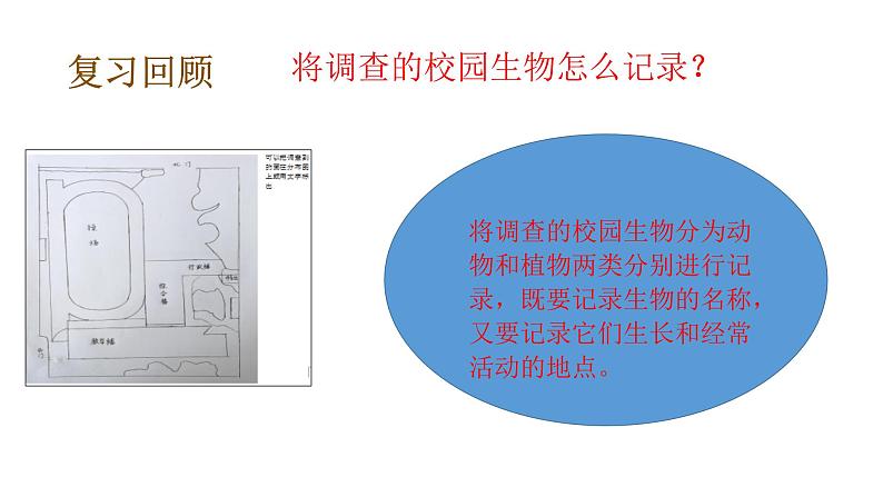 教科版(2017秋）六年级科学下册2.2制作校园生物分布图（课件44张ppt+素材)07