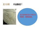 教科版(2017秋）六年級科學(xué)下冊2.7保護(hù)生物多樣性（課件42張ppt+素材)