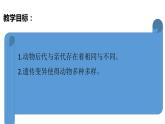 教科版(2017秋）六年级科学下册2.4多种多样的动物（课件40张ppt+素材)