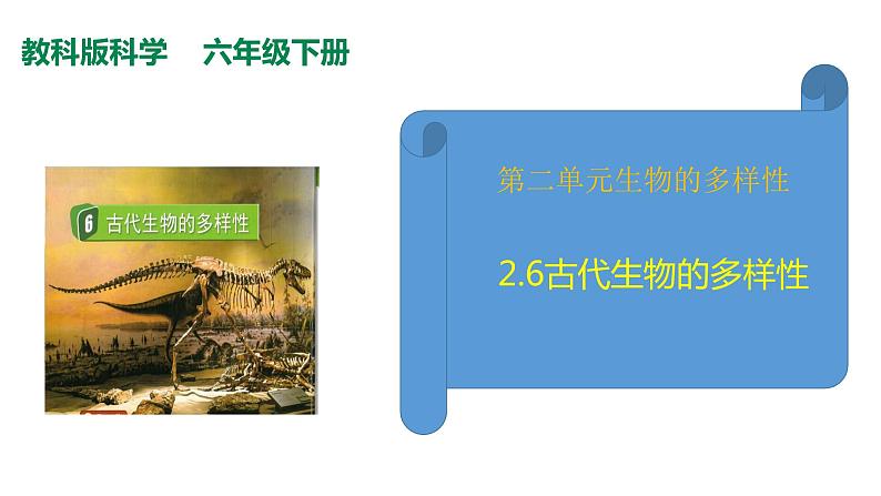 教科版(2017秋）六年级科学下册2.6古代生物的多样性（课件42张ppt+素材)02