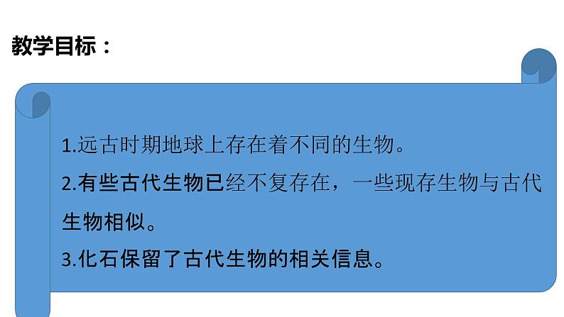 教科版(2017秋）六年级科学下册2.6古代生物的多样性（课件42张ppt+素材)03