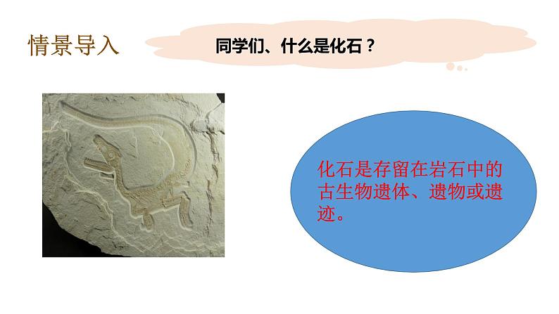 教科版(2017秋）六年级科学下册2.6古代生物的多样性（课件42张ppt+素材)08