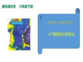 教科版(2017秋）六年級科學下冊4.7美麗的化學變化（課件43張ppt+素材)
