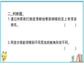 教科版 科学六年级上册 第一单元 第3课 观察身边微小的物体  习题课件