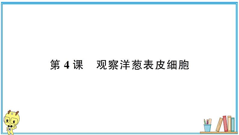 教科版 科学六年级上册  第一单元 第4课 观察洋葱表皮细胞  习题课件01