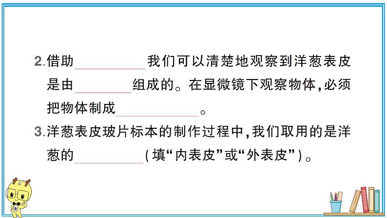 教科版 科学六年级上册  第一单元 第4课 观察洋葱表皮细胞  习题课件03