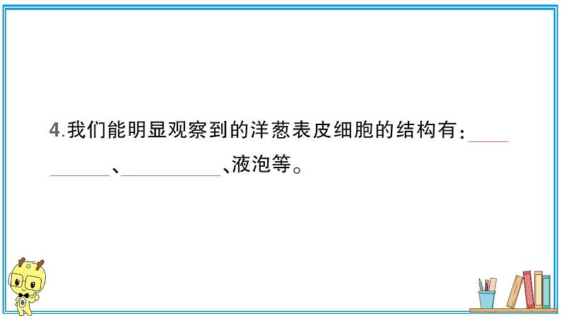 教科版 科学六年级上册  第一单元 第4课 观察洋葱表皮细胞  习题课件04