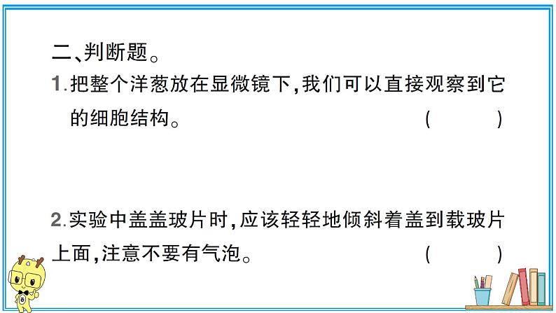 教科版 科学六年级上册  第一单元 第4课 观察洋葱表皮细胞  习题课件05