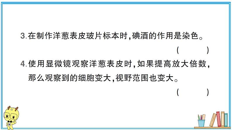 教科版 科学六年级上册  第一单元 第4课 观察洋葱表皮细胞  习题课件06