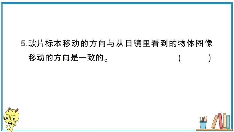 教科版 科学六年级上册  第一单元 第4课 观察洋葱表皮细胞  习题课件07