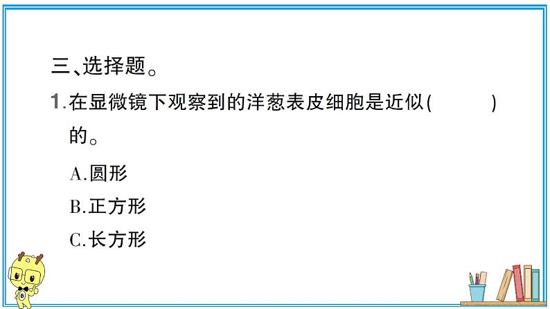 教科版 科学六年级上册  第一单元 第4课 观察洋葱表皮细胞  习题课件08