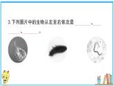 教科版 科学六年级上册  第一单元 第6课 观察水中微小的生物  习题课件
