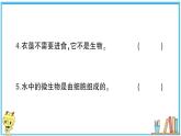 教科版 科学六年级上册  第一单元 第6课 观察水中微小的生物  习题课件
