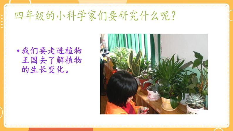 四年级下册科学开学第一课第5页