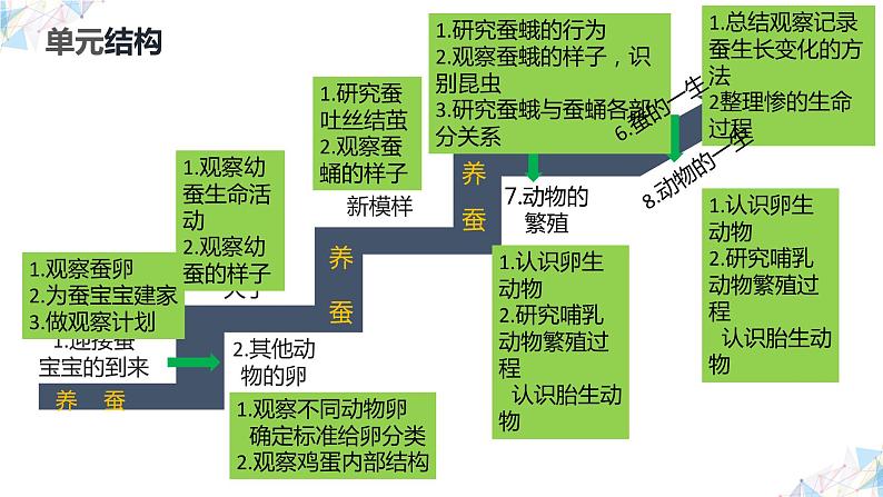 教科版(2017秋）三年级科学下册第二单元动物的一生复习（课件35张ppt）04