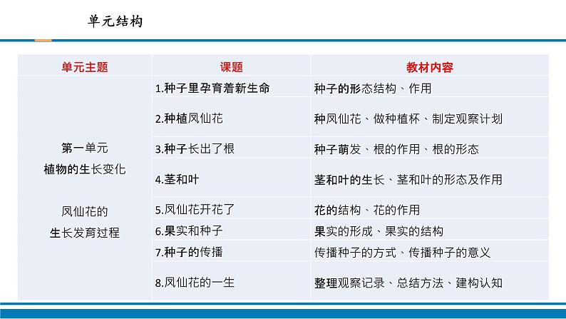 教科版(2017秋）四年级科学下册第一单元植物的生长变化复习（课件31张ppt）第4页