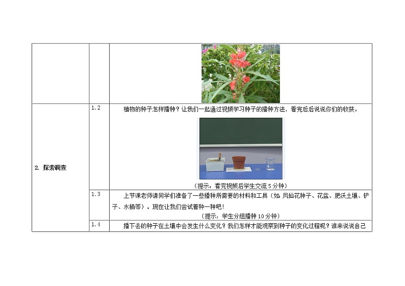 1.2  种植凤仙花（教科版）教案02