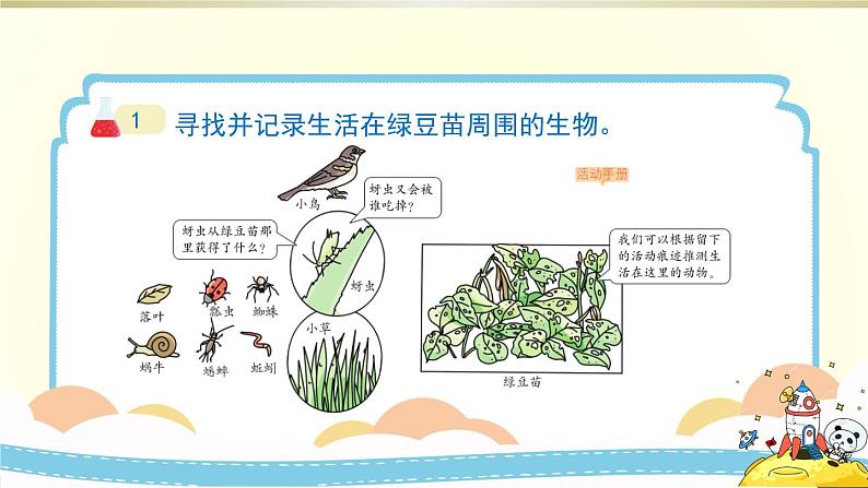 小学科学教科版五年级下册第一单元第6课《食物链和食物网》课件8（2022新版）06
